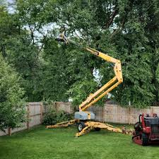 Best Leaf Removal  in Red Bank, NJ