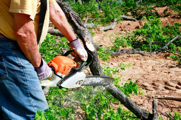 Lawn Maintenance Plans in Red Bank, NJ